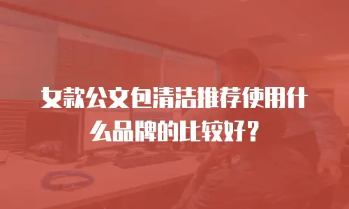 女款公文包清洁推荐使用什么品牌的比较好？