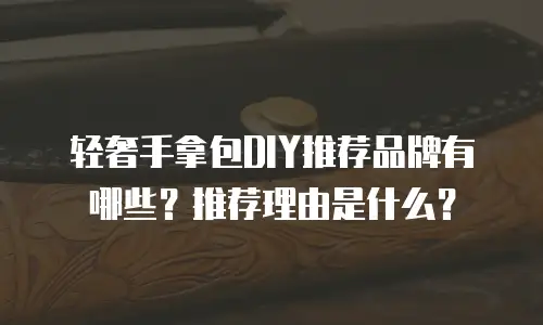 轻奢手拿包DIY推荐品牌有哪些？推荐理由是什么？