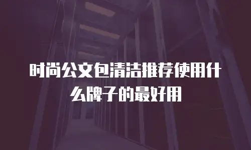 时尚公文包清洁推荐使用什么牌子的最好用