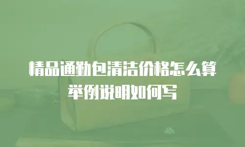 精品通勤包清洁价格怎么算举例说明如何写