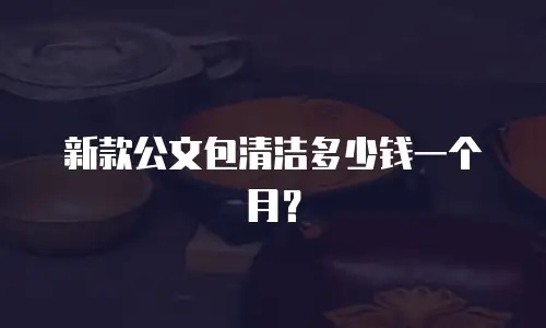 新款公文包清洁多少钱一个月？