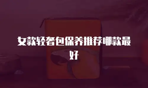 女款轻奢包保养推荐哪款最好