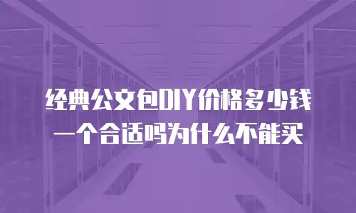 经典公文包DIY价格多少钱一个合适吗为什么不能买