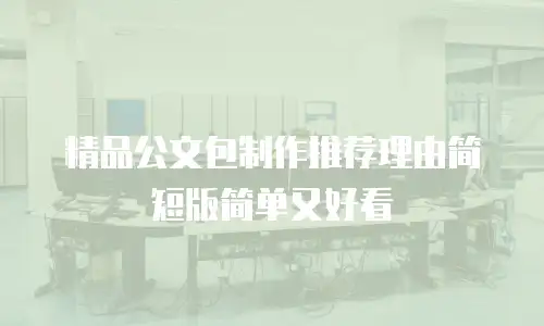 精品公文包制作推荐理由简短版简单又好看
