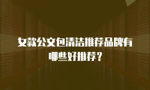 女款公文包清洁推荐品牌有哪些好推荐？
