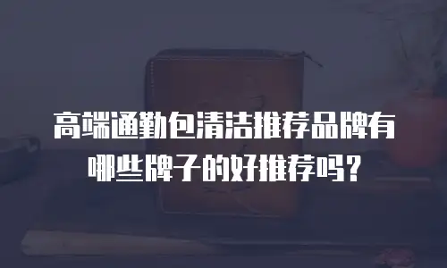 高端通勤包清洁推荐品牌有哪些牌子的好推荐吗？