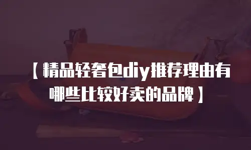 【精品轻奢包diy推荐理由有哪些比较好卖的品牌】