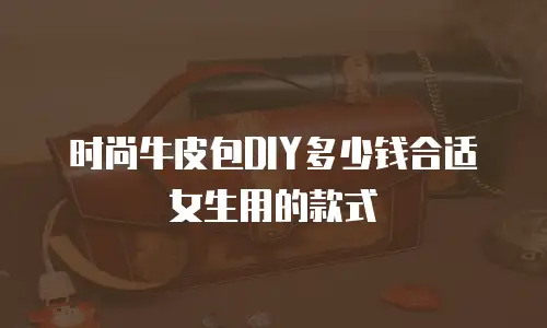 时尚牛皮包DIY多少钱合适女生用的款式