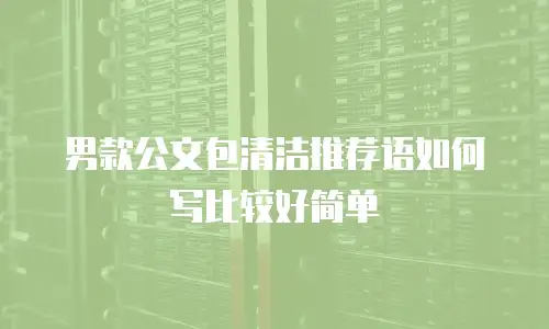 男款公文包清洁推荐语如何写比较好简单