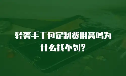 轻奢手工包定制费用高吗为什么找不到？