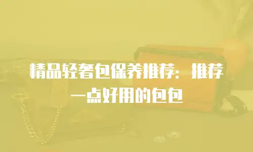 精品轻奢包保养推荐：推荐一点好用的包包