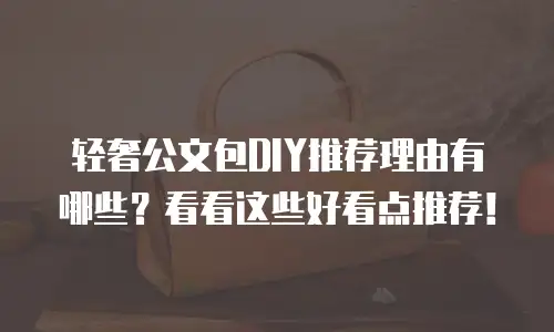 轻奢公文包DIY推荐理由有哪些？看看这些好看点推荐！