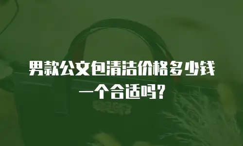 男款公文包清洁价格多少钱一个合适吗？