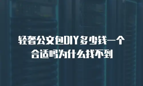 轻奢公文包DIY多少钱一个合适吗为什么找不到