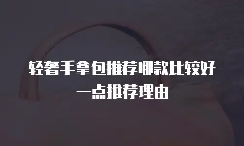 轻奢手拿包推荐哪款比较好一点推荐理由