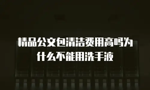 精品公文包清洁费用高吗为什么不能用洗手液