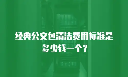 经典公文包清洁费用标准是多少钱一个？