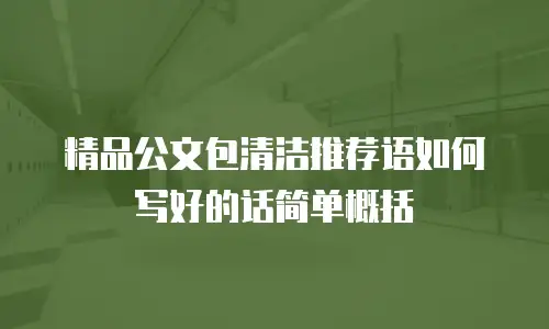 精品公文包清洁推荐语如何写好的话简单概括