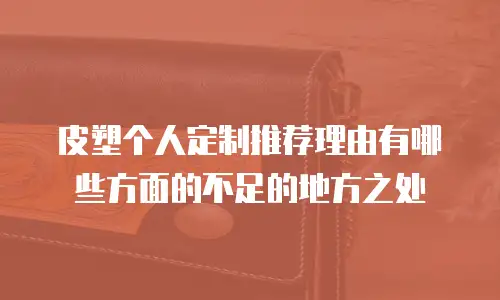 皮塑个人定制推荐理由有哪些方面的不足的地方之处