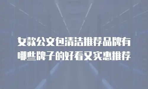 女款公文包清洁推荐品牌有哪些牌子的好看又实惠推荐