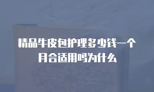 精品牛皮包护理多少钱一个月合适用吗为什么
