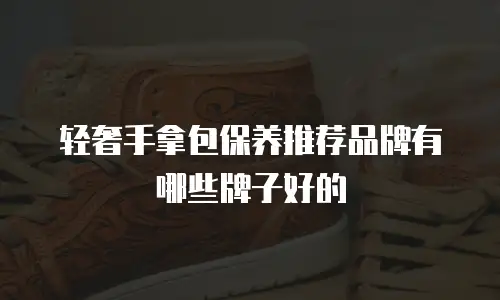 轻奢手拿包保养推荐品牌有哪些牌子好的