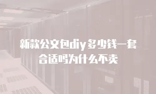 新款公文包diy多少钱一套合适吗为什么不卖