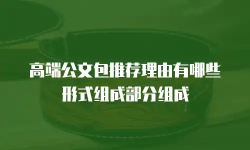 高端公文包推荐理由有哪些形式组成部分组成