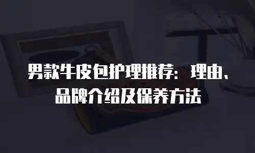 男款牛皮包护理推荐：理由、品牌介绍及保养方法