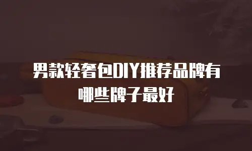 男款轻奢包DIY推荐品牌有哪些牌子最好