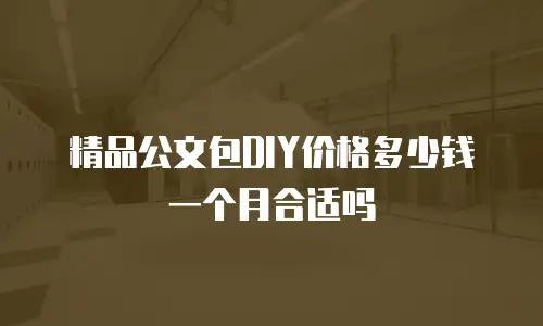 精品公文包DIY价格多少钱一个月合适吗