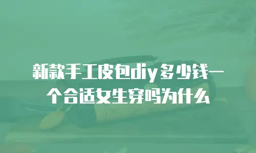 新款手工皮包diy多少钱一个合适女生穿吗为什么