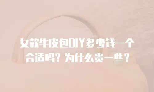 女款牛皮包DIY多少钱一个合适吗？为什么贵一些？