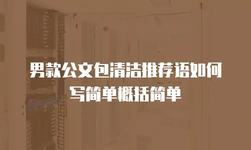 男款公文包清洁推荐语如何写简单概括简单