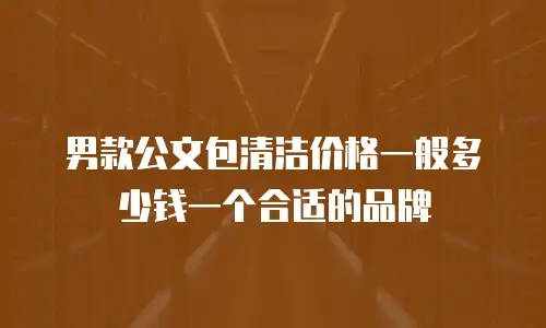 男款公文包清洁价格一般多少钱一个合适的品牌