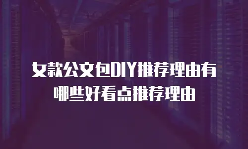 女款公文包DIY推荐理由有哪些好看点推荐理由