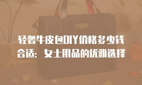 轻奢牛皮包DIY价格多少钱合适：女士用品的优雅选择
