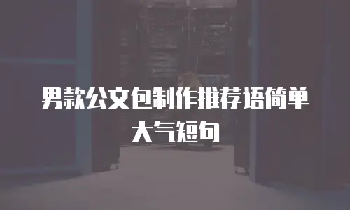男款公文包制作推荐语简单大气短句