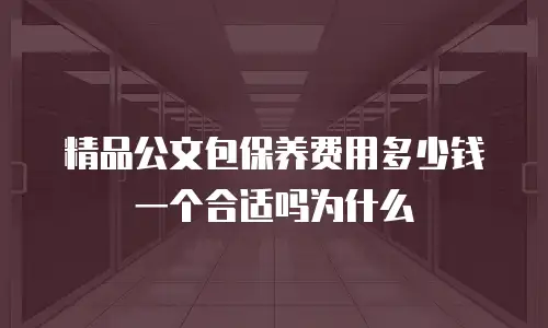 精品公文包保养费用多少钱一个合适吗为什么