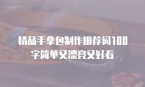 精品手拿包制作推荐词100字简单又漂亮又好看