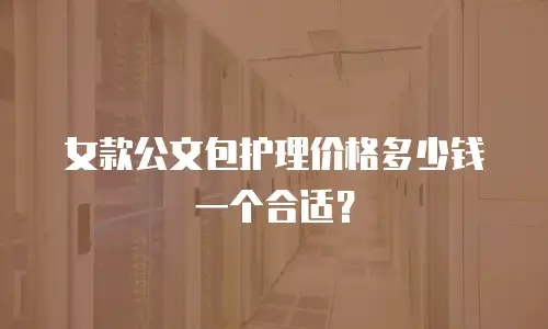 女款公文包护理价格多少钱一个合适？