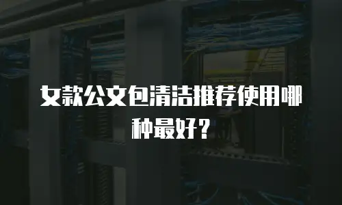 女款公文包清洁推荐使用哪种最好？
