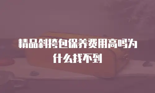 精品斜挎包保养费用高吗为什么找不到