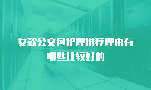 女款公文包护理推荐理由有哪些比较好的