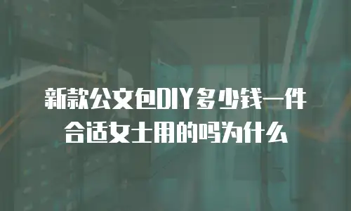 新款公文包DIY多少钱一件合适女士用的吗为什么