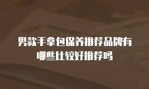 男款手拿包保养推荐品牌有哪些比较好推荐吗