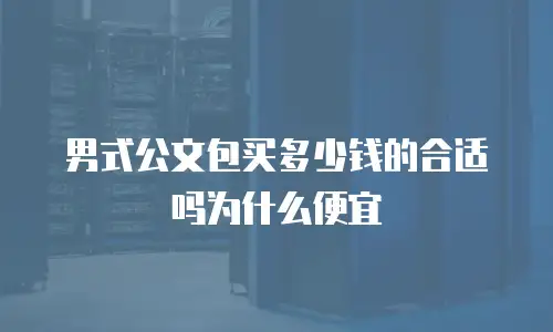 男式公文包买多少钱的合适吗为什么便宜