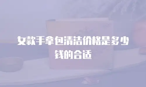 女款手拿包清洁价格是多少钱的合适