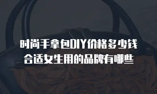 时尚手拿包DIY价格多少钱合适女生用的品牌有哪些