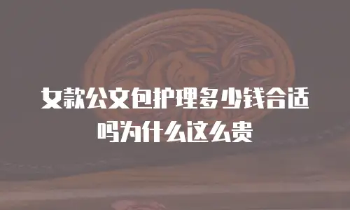 女款公文包护理多少钱合适吗为什么这么贵